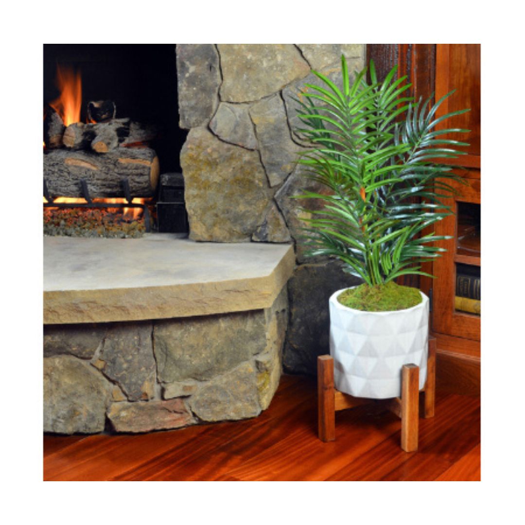 ” Sheet Moss – Mosser Lee – Natural Green – 325 sq ft”
